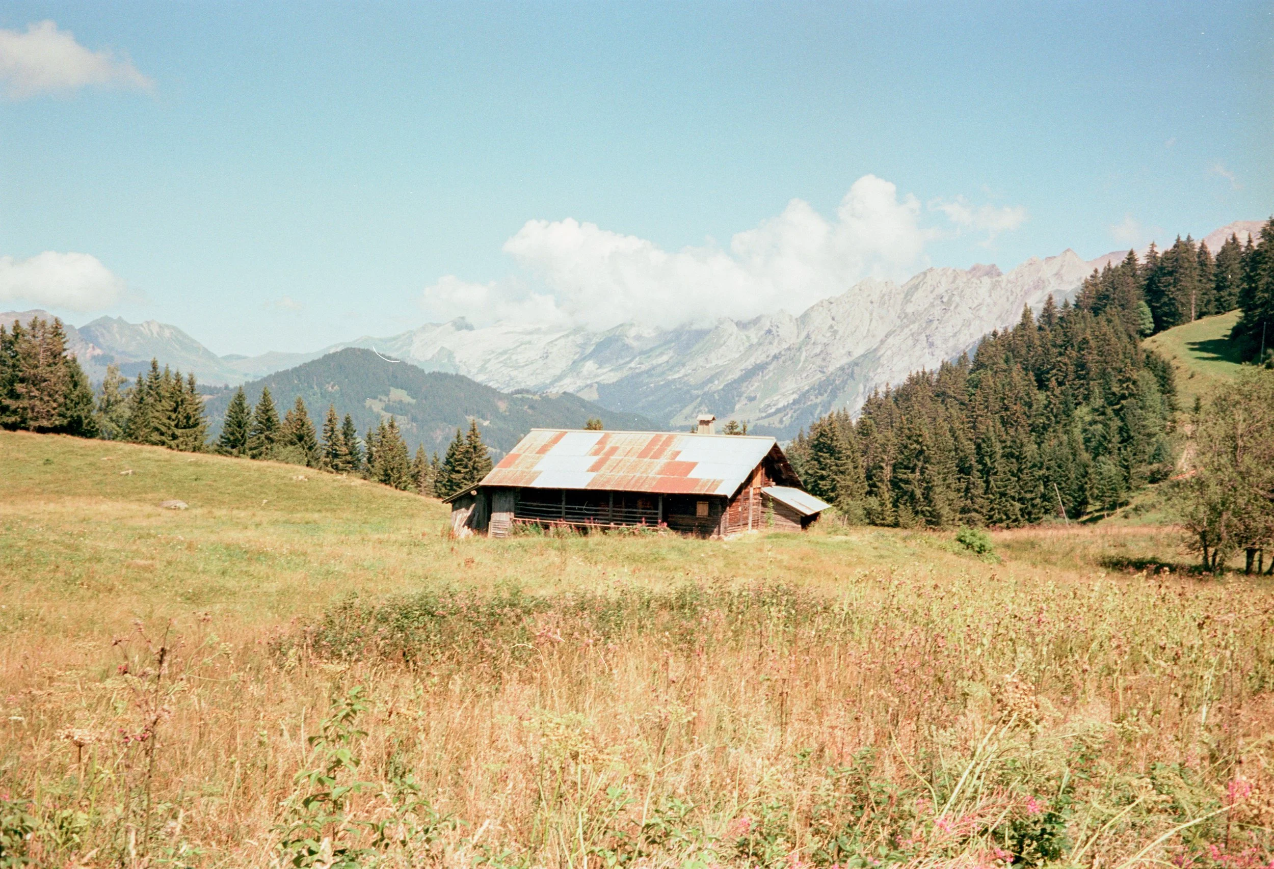 Places, analog photograph 26